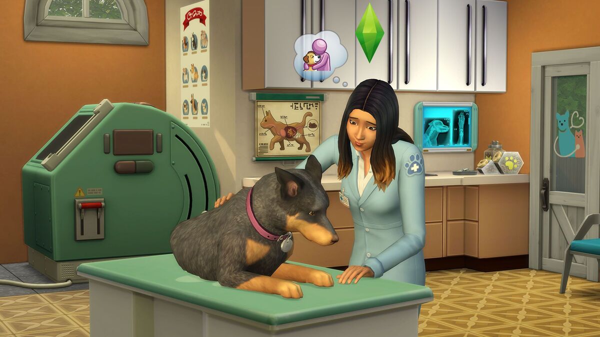 Klinika weterynaryjna | Simspedia | Fandom Klinika Weterynaryjna The Sims 4