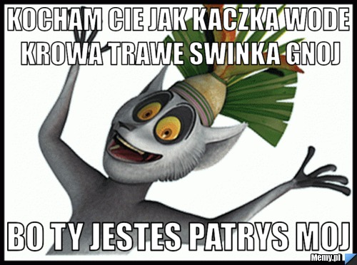 Kocham Cie Jak Kaczka Wode