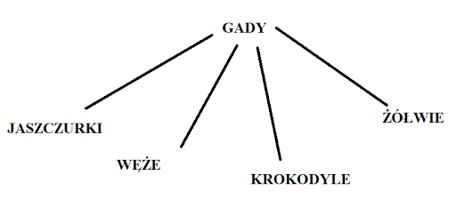 Przystosowanie Roślin Do życia Na Lądzie