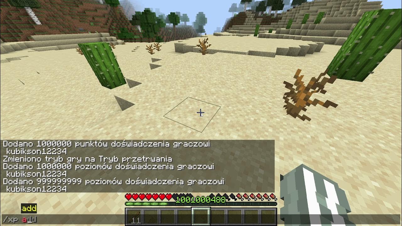 Jaka Jest Komenda Na Odbanowanie W Minecraft