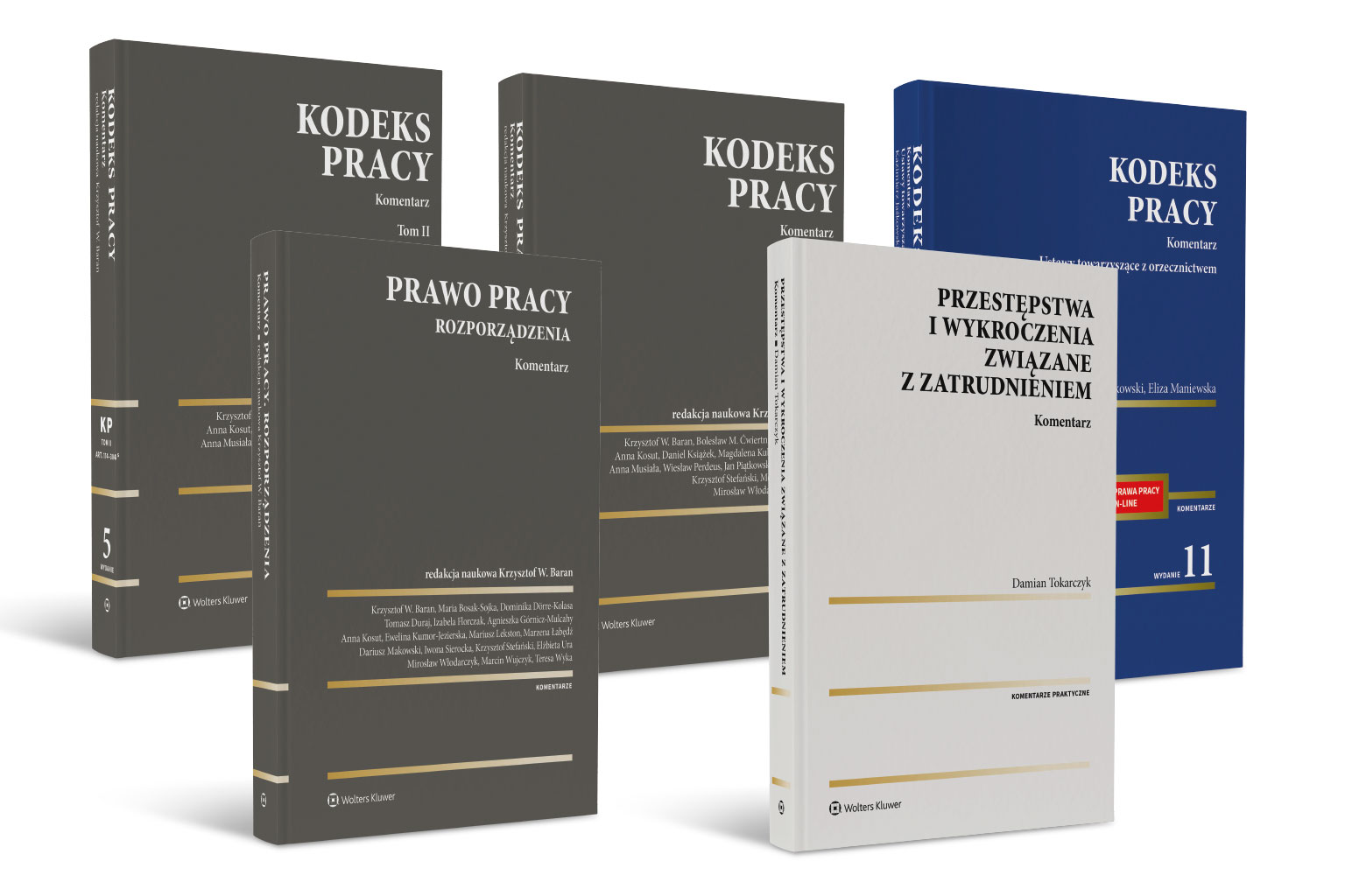 Komentarz Do Kodeksu Wykroczeń Pdf