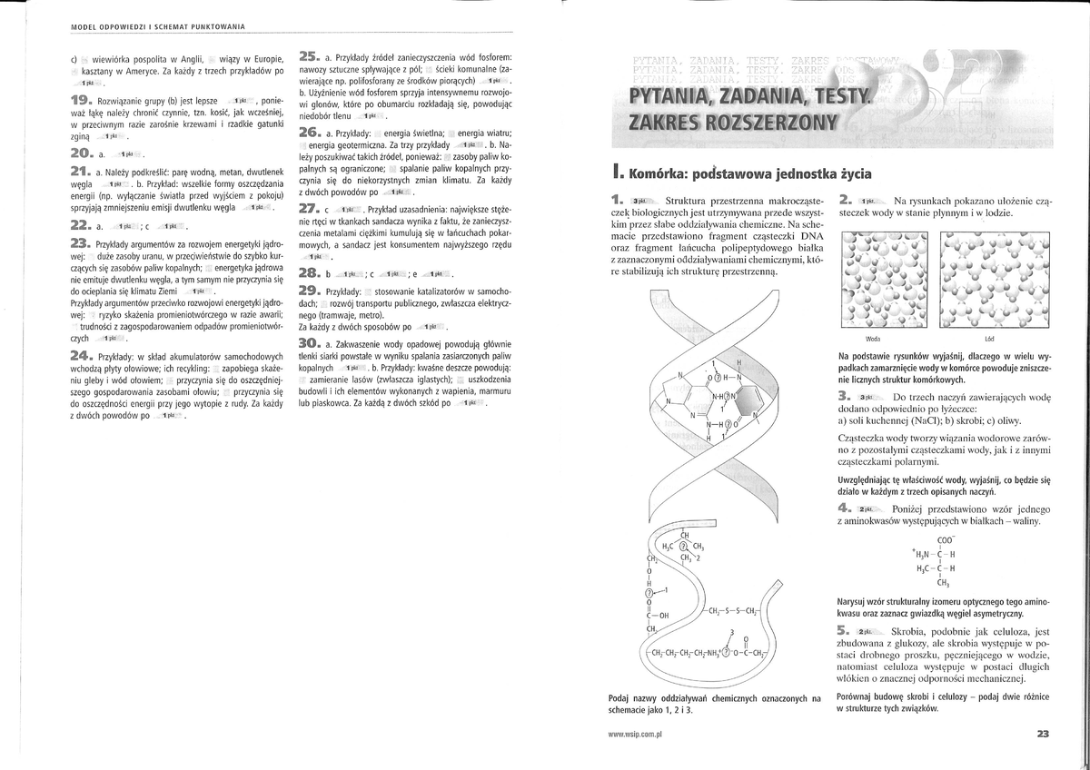 Komórka - podstawowa jednostka życia - Biologia poziom rozszerzony Komórka Podstawowa Jednostka życia Sprawdzian Pdf