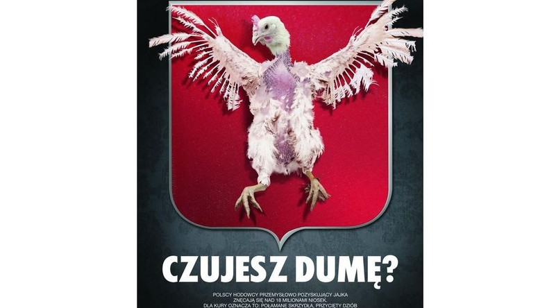 Kontrowersyjna kampania: "Jestem dumny, że jestem Polakiem" - Dziennik.pl Jestem Dumny że Jestem Polakiem Bedoes