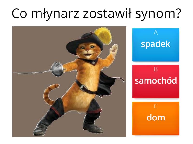 Kot W Butach Test Sprawdzający