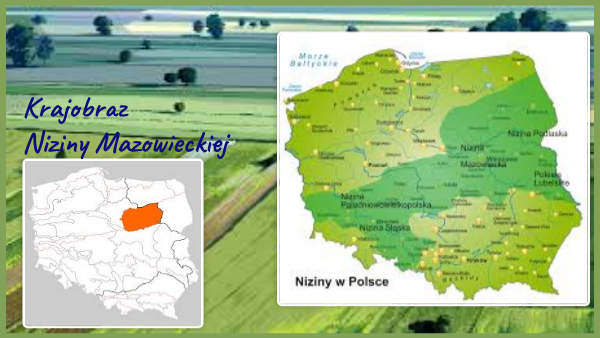 krajobraz Niziny Mazowieckiej i krajobraz wielkomiejski Krajobraz Niziny Mazowieckiej Klasa 5 Kartkowka