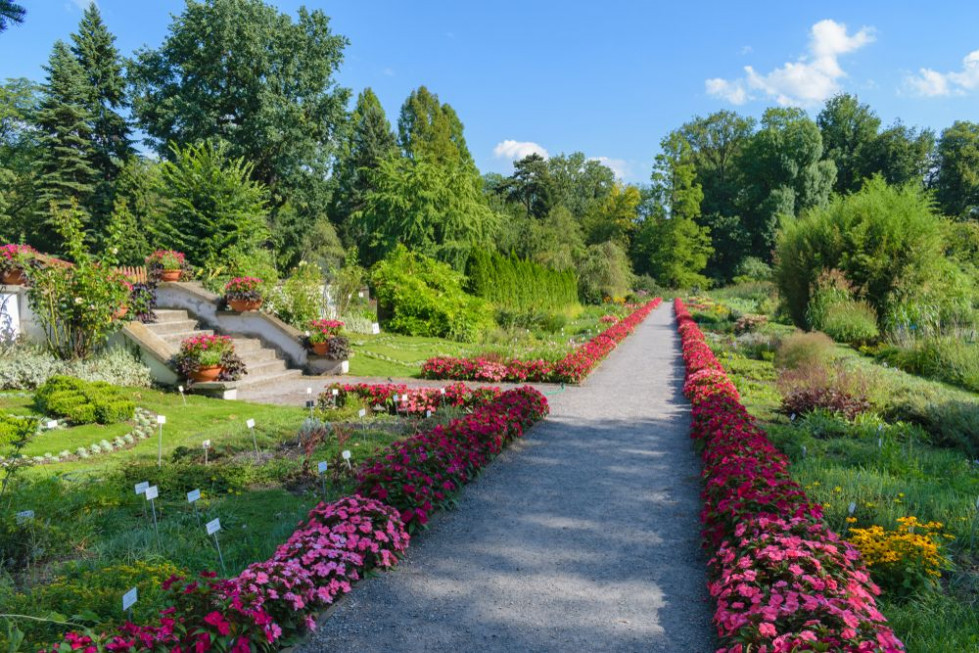 Ogród Botaniczny Chłopcy Z Placu Broni