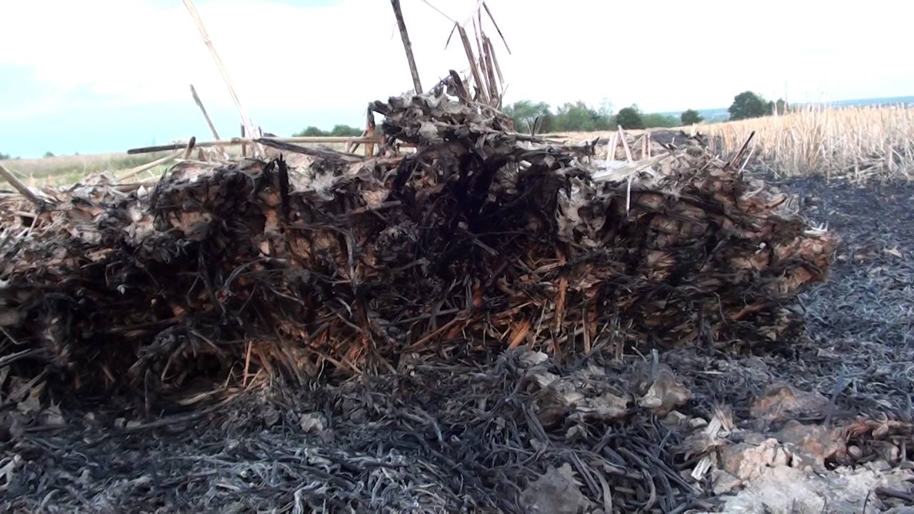 Czym Się Różni Meteor Od Meteorytu