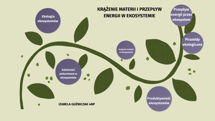 KRĄŻENIE MATERII I PRZEPŁYW ENERGII W EKOSYSTEMIE by marek marek on Prezi Przepływ Energii W Ekosystemie