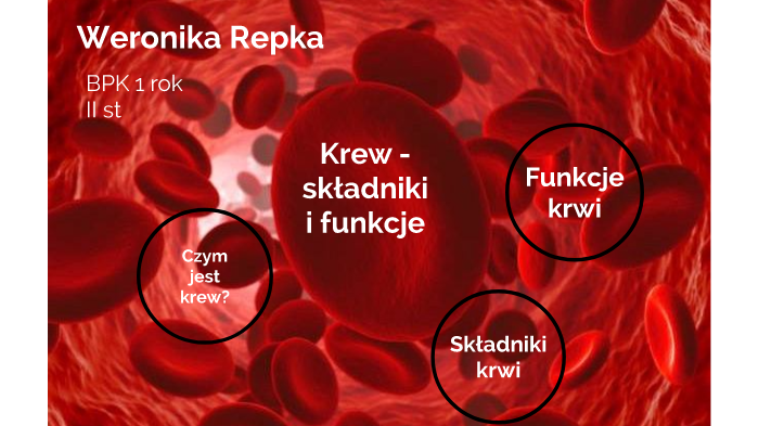 Krew - składniki i funkcje by wera repka on Prezi Krew Funkcje