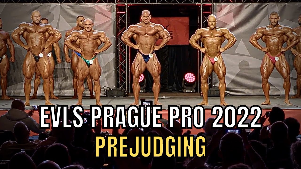 Towarzystwa Ubezpieczeniowe Udział W Rynku