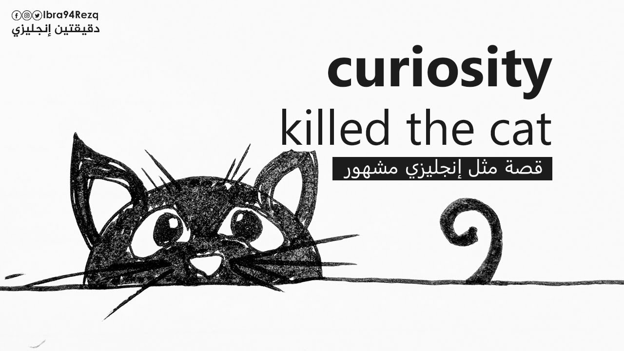 Curiosity Killed The Cat Po Polsku