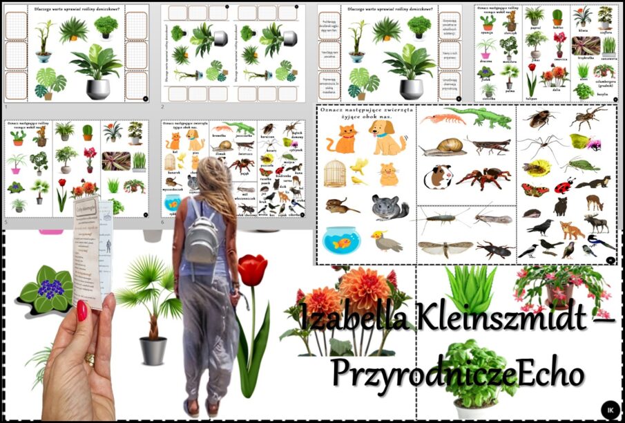 Książeczka/karta pracy/wklejka/stacje zadaniowe/notatka okienkowa Poznajemy Swiat Organizmow Klasa 4 Testy