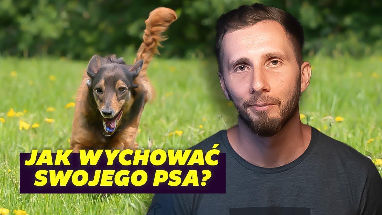 KULISY zawodu PSIEGO BEHAWIORYSTY (feat. Czarne Podniebienie) | Podcast Czy Czarne Podniebienie U Psa Co Oznacza