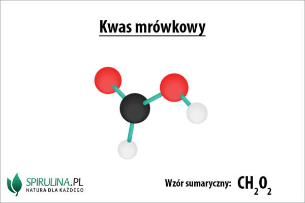 Kwas mrówkowy - algi Spirulina i Chlorella Wzór Sumaryczny Kwasu Mrówkowego