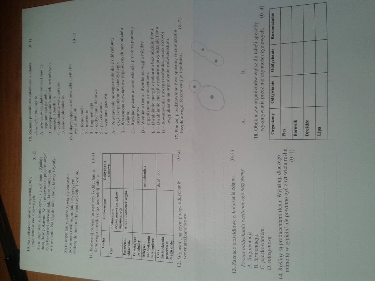 Test Z Chemii Klasa 8