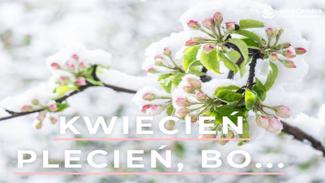 KWIECIEŃ PLECIEŃ, BO PRZEPLATA TROCHĘ ZIMY, TROCHĘ LATA... Kwiecień Plecień Bo Przeplata Trochę Zimy Trochę Lata Po Angielsku