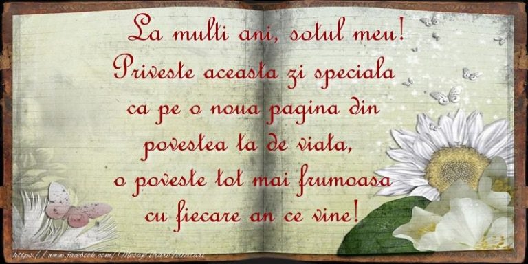 Mesaje Frumoase Pentru Sot Si Tatic