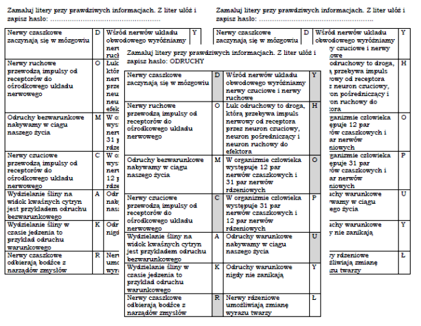 Łamigłówka na podsumowanie lekcji biologii w klasie 7 "Obwodowy układ Układ Nerwowy Sprawdzian Klasa 7