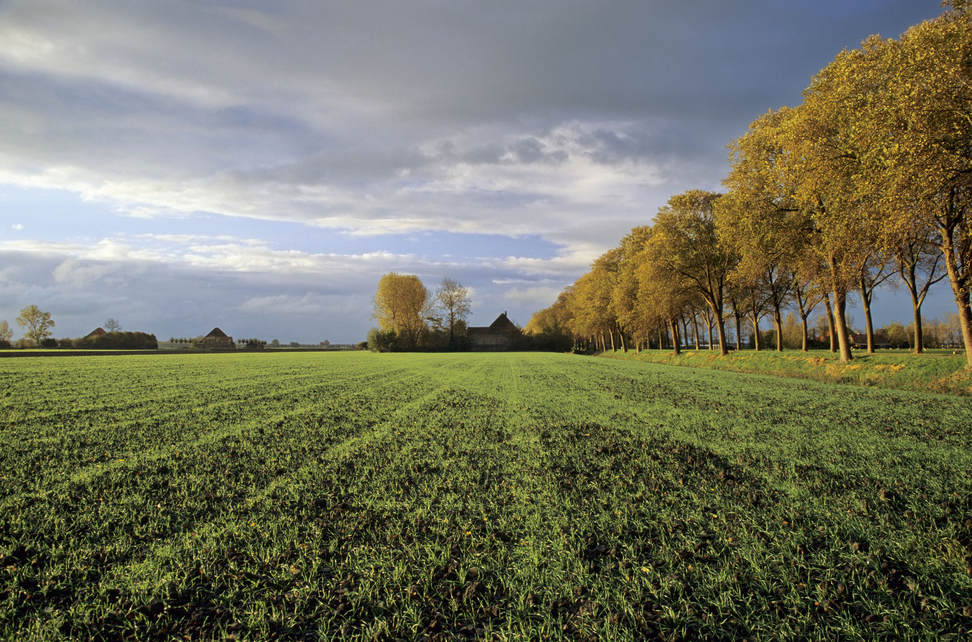 Land Art A Cultural Ecology Handbook