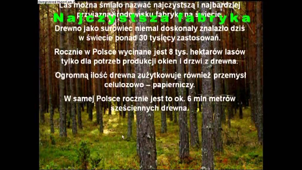 Las - film edukacyjny - YouTube Las Film Edukacyjny Dla Dzieci