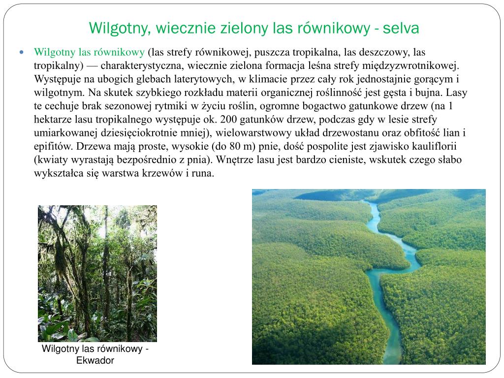 Lasy Równikowe Sawanny Pustynie Sprawdzian - Margaret Wiegel Lasy Rwnikowe Sawanny Pustynie Sprawdzian
