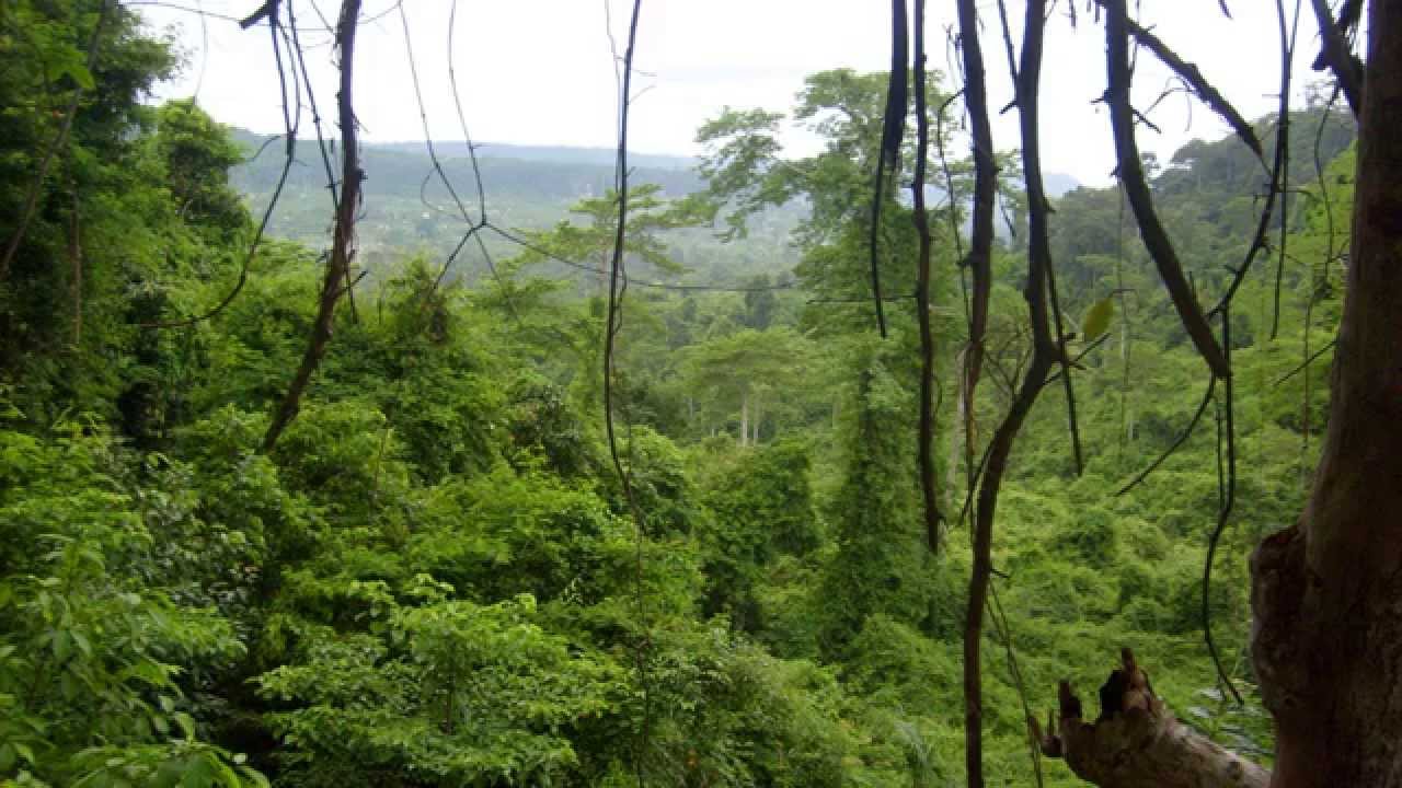 Suchy Region W Afryce Od Północy Sąsiadujący Z Saharą