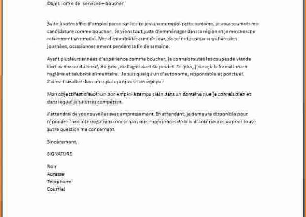 Lettre De Motivation Nounou Sans Experience