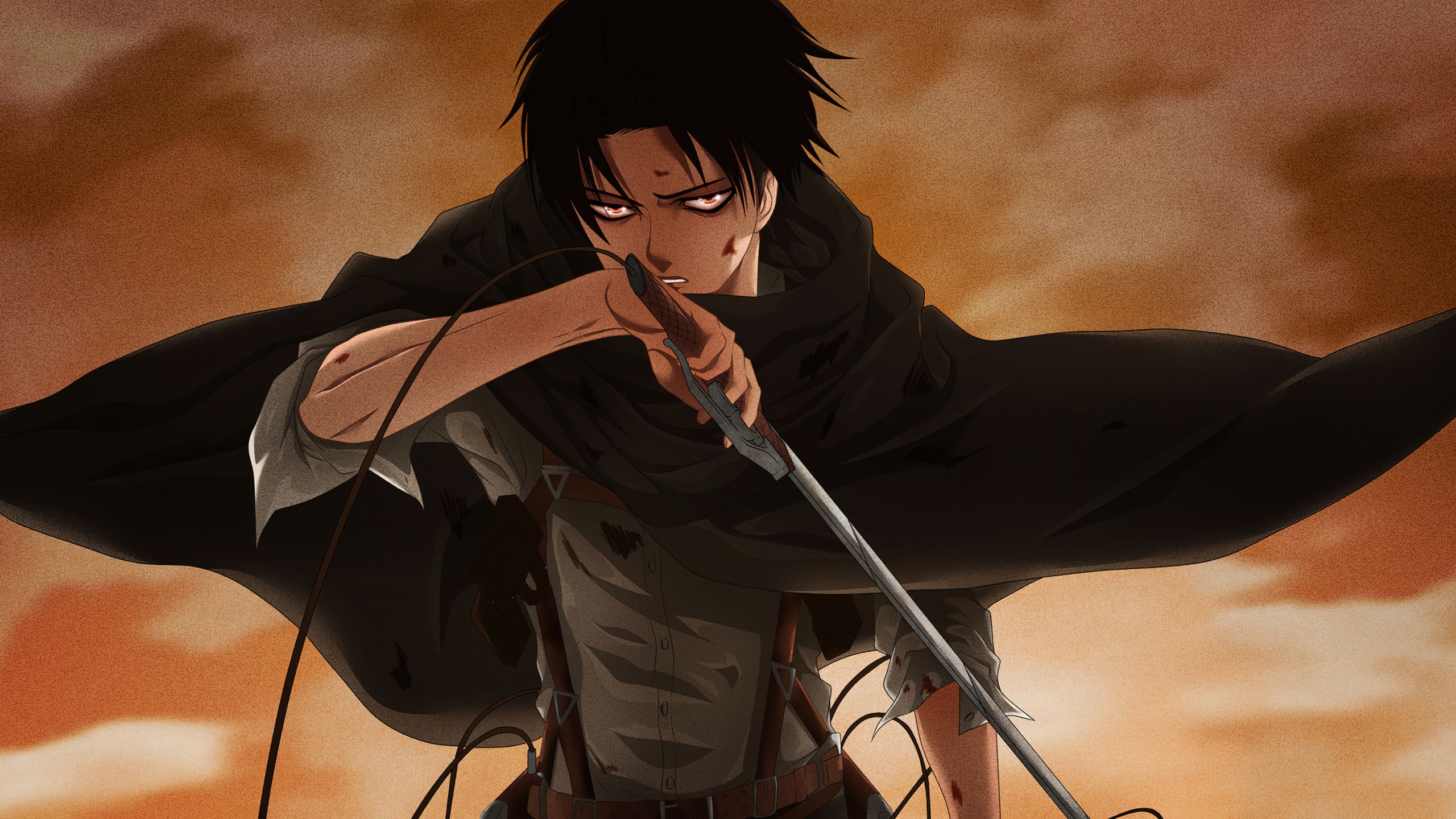 Levi Ackerman Wallpaper 4K, Rivaille, Attack on Titan Levi Strauss Poland Sp Zoo