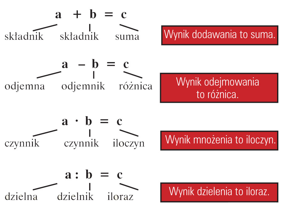 Liczby i działania | AleKlasa Liczby I Działania Sprawdzian Klasa 8