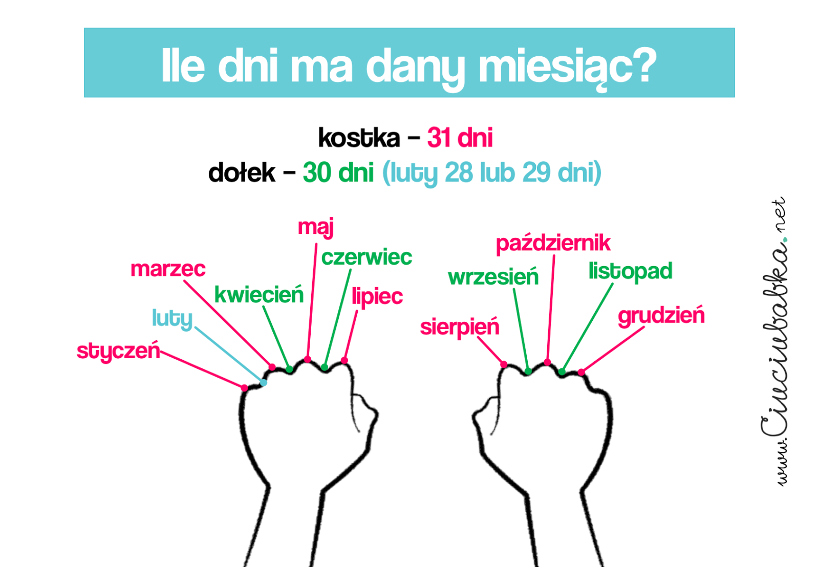 Każdy Z Wyrazów W Iloczynie