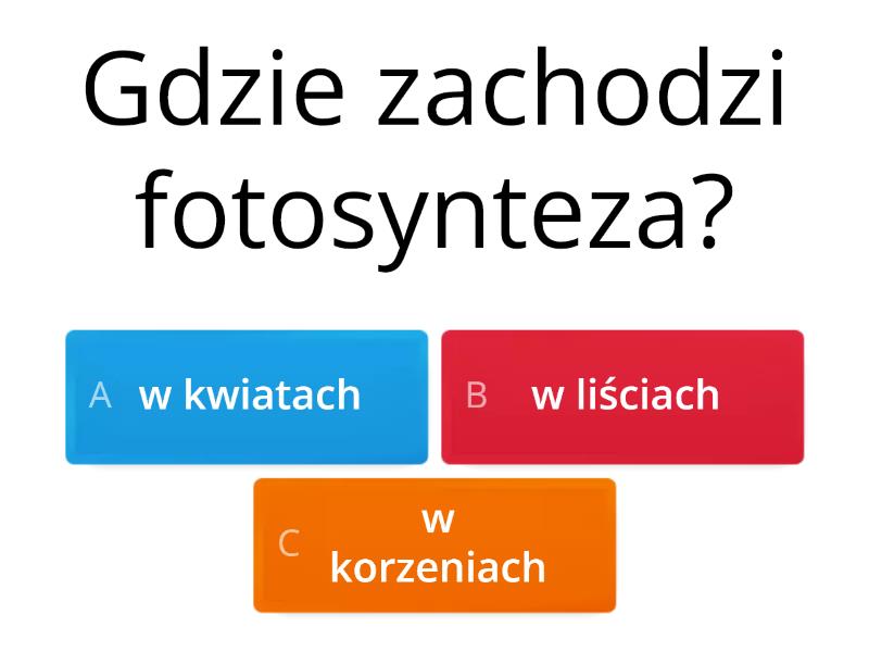 Liść- wytwórnia pokarmu - Test Liść Wytwórnia Pokarmu Klasa 5