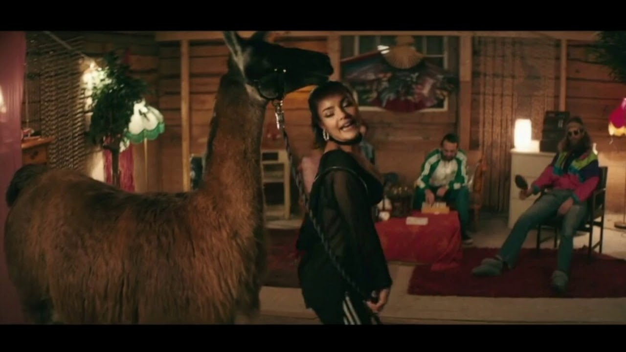 Llama In My Living Room - AronChupa & Little Sis Nora. - YouTube Llama In My Living Room Przerbka