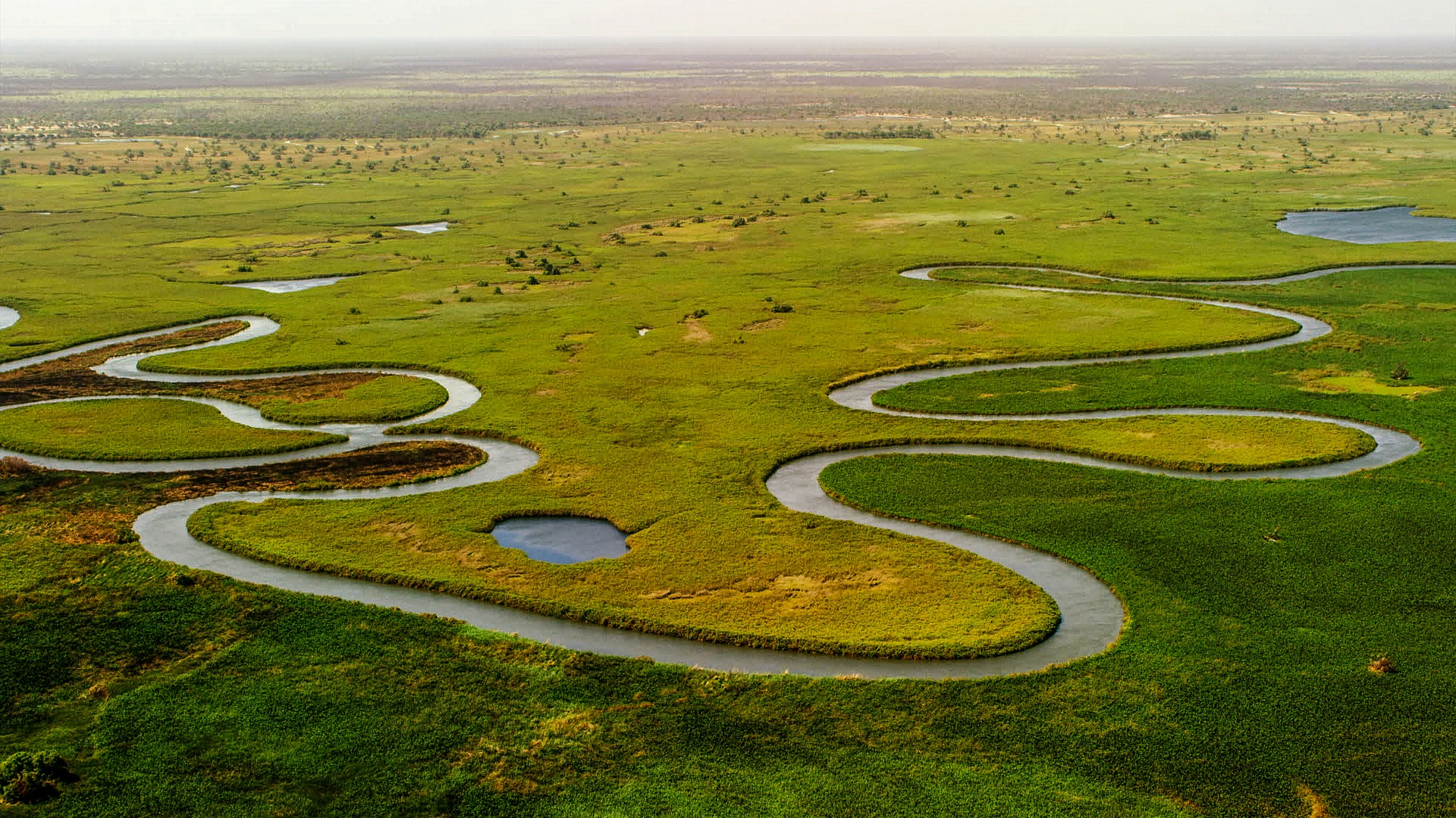 Łomżyński Park Krajobrazowy Doliny Narwi - dlaczego warto go odwiedzić łomżyński Park Krajobrazowy Doliny Narwi