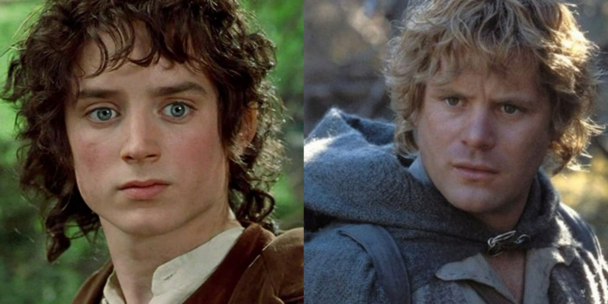 Lord Of The Rings: 10 Quotes That Perfectly Sum Up Frodo And Sam's Jakimi Cechami Charakteru Odznacza Sie Frodo A Jakimi Sam