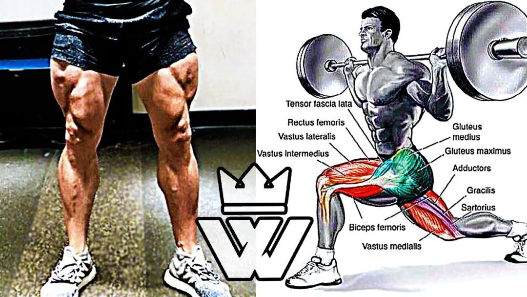 Ejercicios Para Aumentar Piernas Hombres