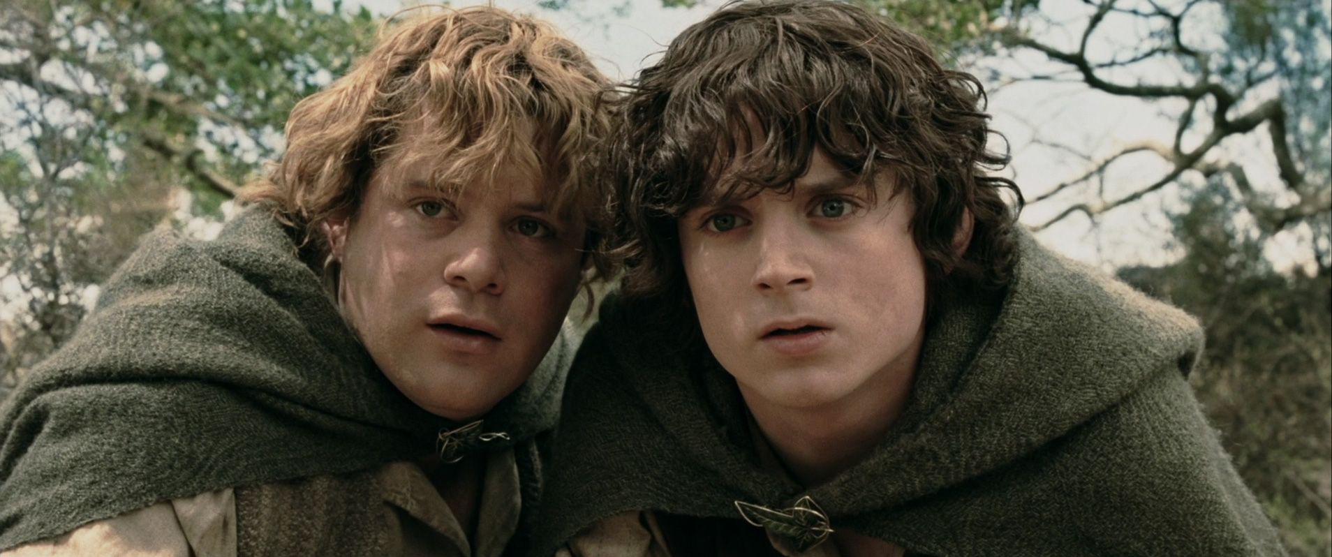 Jakimi Cechami Charakteru Odznacza Sie Frodo A Jakimi Sam