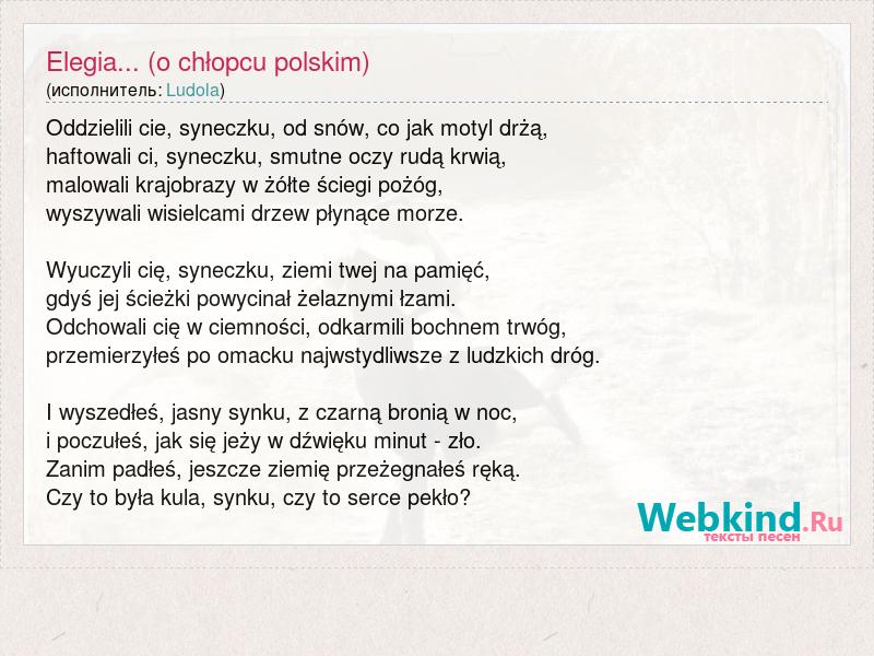 Elegia O Chłopcu Polskim Notatka