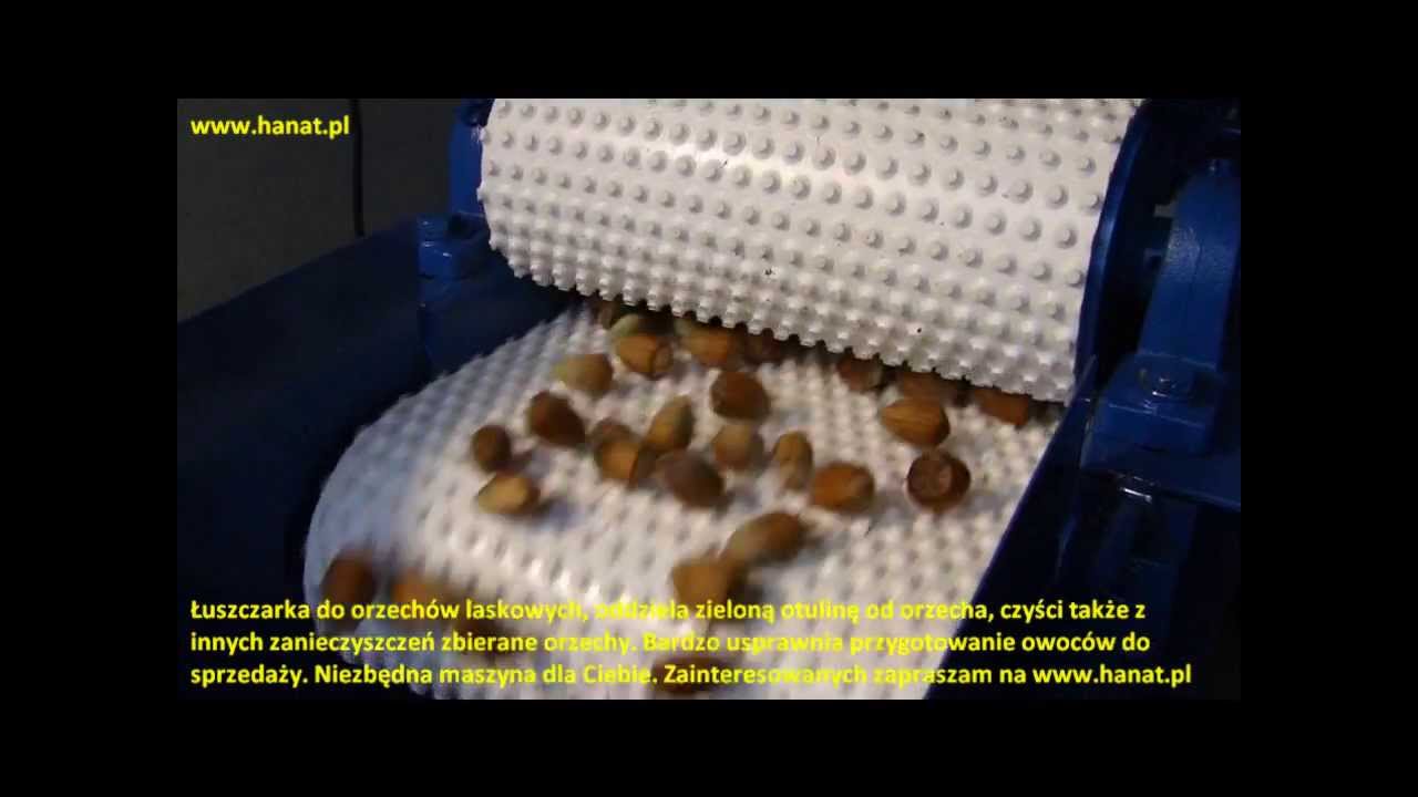 Łuszczarka maszyna do orzechów laskowych - YouTube Dopłaty Do Uprawy Orzecha Włoskiego