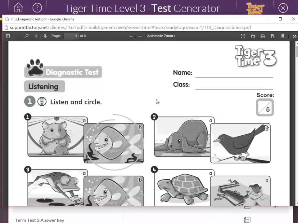 Tiger 3 Unit2 Test