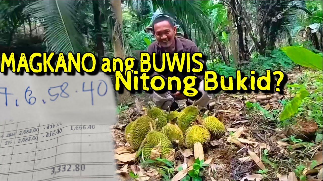 Magkano Ang Buwis Ng Lupa Sa Pilipinas