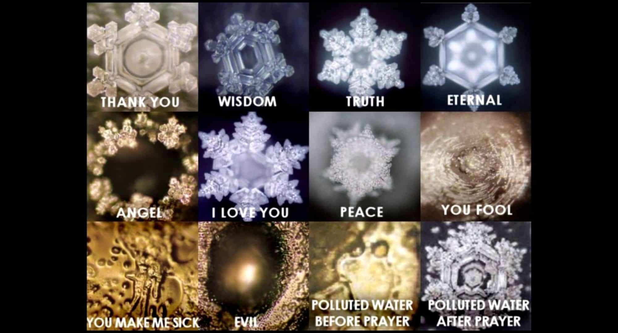 Doświadczenie Z Ryżem Masaru Emoto