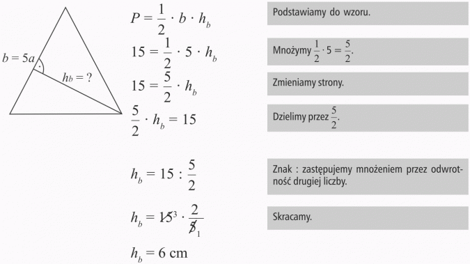 Matematyka: Pola Figur Pola Figur Klasa 5 Sprawdzian Pdf Matematyka Z Plusem