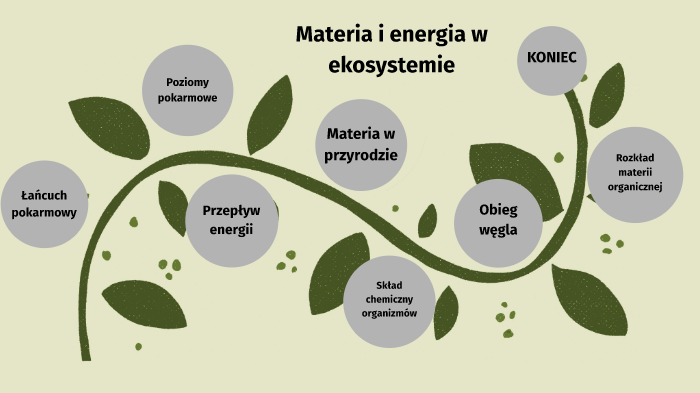 Materia i energia w ekosystemie by Alicja Buda on Prezi Krążenie Materii W Ekosystemie
