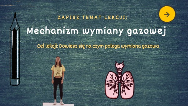 Mechanizm wymiany gazowej Wymiana Gazowa W Płucach Klasa 4