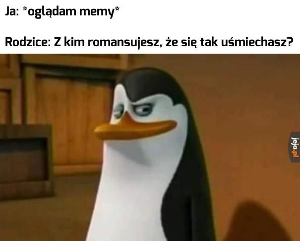 Memy z Pingwinami z Madagaskaru — Czy możesz się z nimi utożsamiać Memy Z Pingwinami Z Madagaskaru