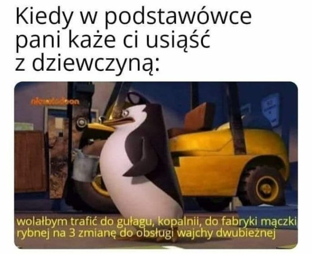 Memy z Pingwinami z Madagaskaru — Czy możesz się z nimi utożsamiać Memy Z Pingwinami Z Madagaskaru