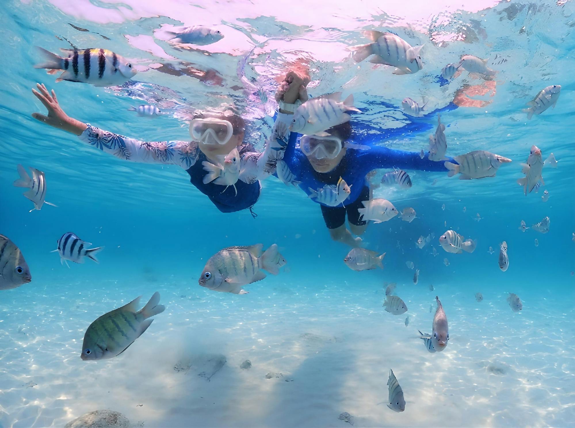 Mergulho com snorkel na Lagoa Azul e visita à cachoeira Tegenungan Jak Jezyk Mediow Wplywa Na Jezyk Ogolny
