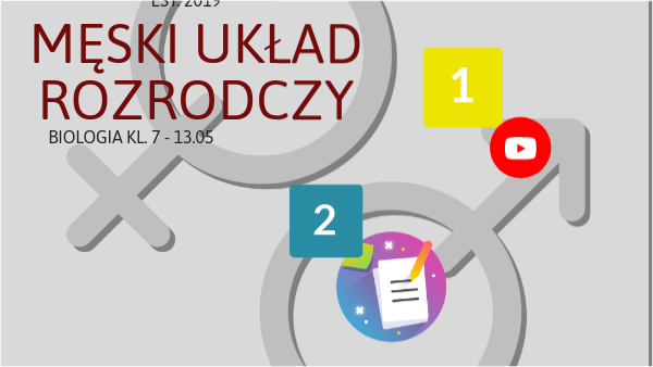 żeński Układ Rozrodczy Prezentacja