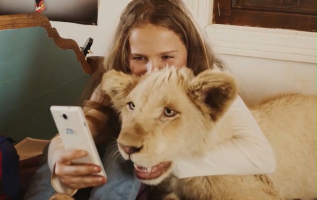 Mia i biały lew (2018) - Filmweb Mia I Biały Lew Cały Film Po Polsku