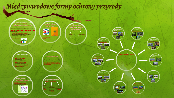 Międzynarodowe formy ochrony przyrody by Julka Wójcik on Prezi Formy Obszarowej Ochrony Przyrody